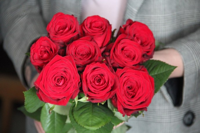 Одноголовая роза Рэд Наоми (Red Naomi)